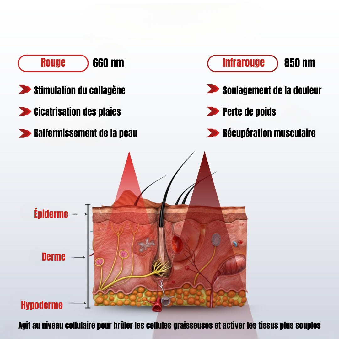 Ceinture de luminothérapie rouge et infrarouge Lumobelt AuraFLEX